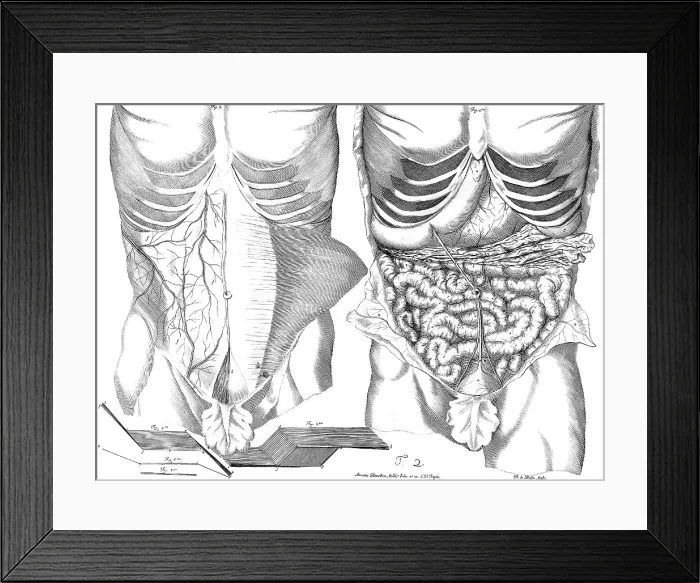 Framed Print : Ame Bourdon, 'Nouvelles tables anatomiques', 1678 Framed Print : Ame Bourdon, 'Nouvelles tables anatomiques', 1678