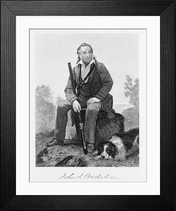 Framed Print : John James Audubon, French-American Naturalist Framed Print : John James Audubon, French-American Naturalist