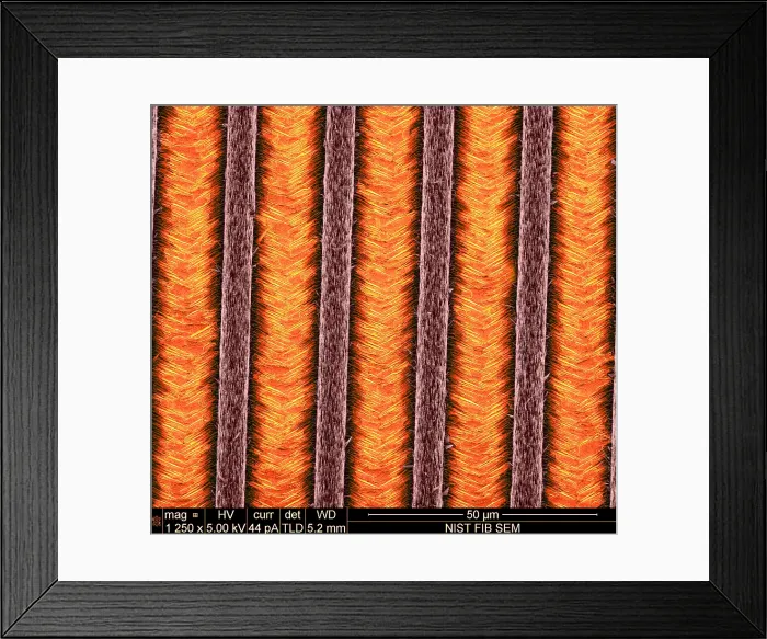 Framed Print : Nanowires, Nanowalls, scanning electron micrograph Framed Print : Nanowires, Nanowalls, scanning electron micrograph