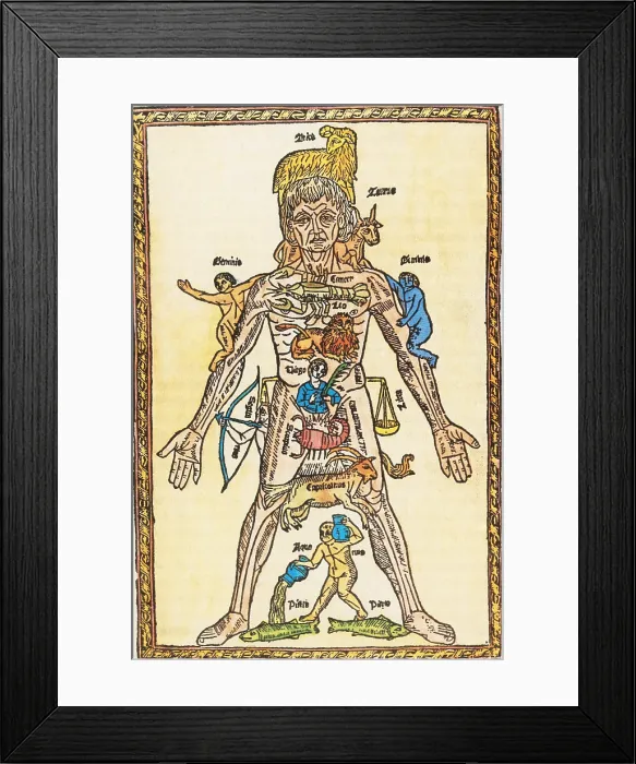 Framed Print : Zodiac Man, 16th Century Framed Print : Zodiac Man, 16th Century