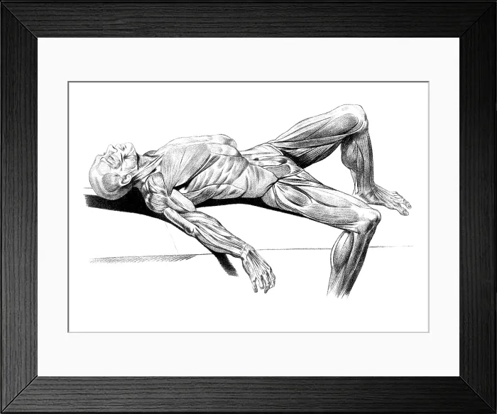 Framed Print : Jacques Gamelin, Nouveau d'osteologie, 1779 Framed Print : Jacques Gamelin, Nouveau d'osteologie, 1779