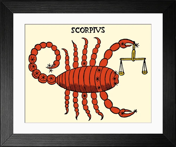Framed Print : Scorpius Constellation, Zodiacal Sign Framed Print : Scorpius Constellation, Zodiacal Sign