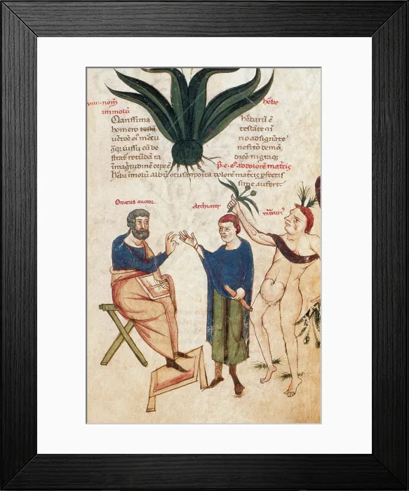 Framed Print : 'De Medicina', 1st Century Medical Treatise Framed Print : 'De Medicina', 1st Century Medical Treatise