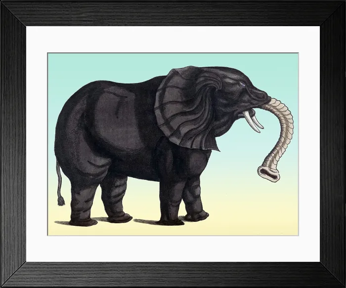 Framed Print : Gessner, Elephant, 16th Century Framed Print : Gessner, Elephant, 16th Century