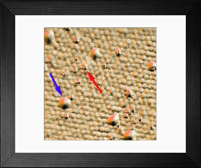Framed Print : Graphene, Interference Patterns, STM Framed Print : Graphene, Interference Patterns, STM