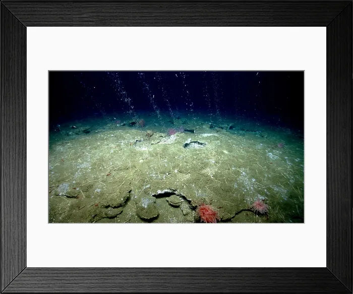 Framed Print : Cold Seep, Methane from Atlantic Sea Floor