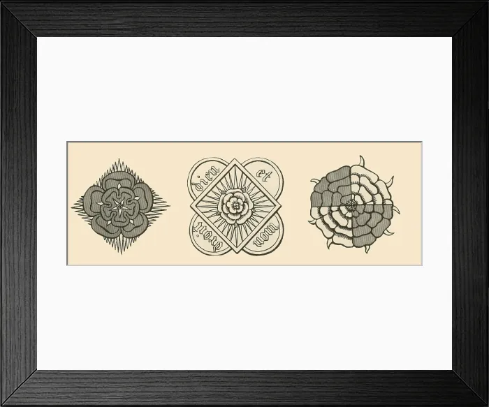 Framed Print : Rose illustrations from Parker's Annales of England Framed Print : Rose illustrations from Parker's Annales of England