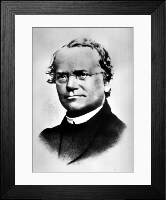Framed Print : Gregor Mendel, Father of Genetics