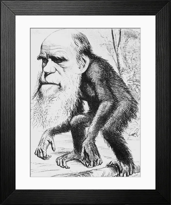 Framed Print : Caricature of Charles Darwin, 1871