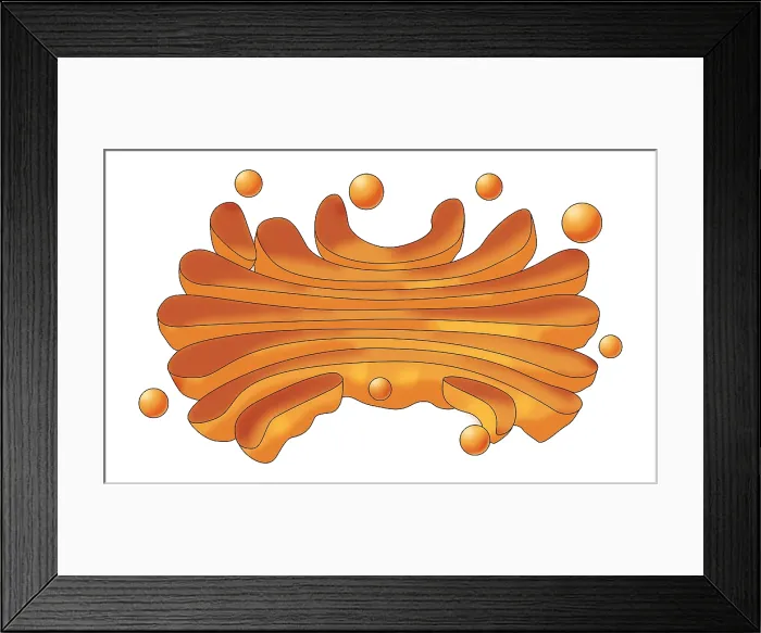 Framed Print : Golgi Apparatus, Illustration Framed Print : Golgi Apparatus, Illustration