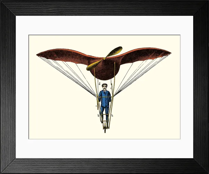 Framed Print : Alexandre Goupil, Flying Machine, 1883 Framed Print : Alexandre Goupil, Flying Machine, 1883