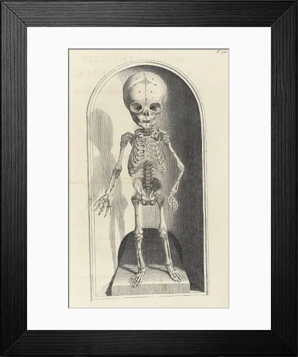 Framed Print : Anatomia humani corporis, Table 101, 1690 Framed Print : Anatomia humani corporis, Table 101, 1690