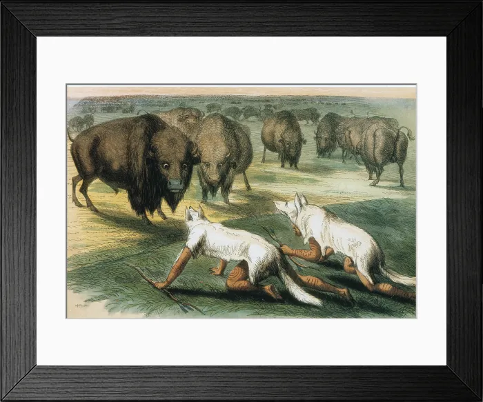 Framed Print : Native Americans Camouflaged for Buffalo Hunt Framed Print : Native Americans Camouflaged for Buffalo Hunt