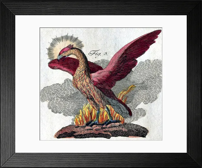 Framed Print : Phoenix, Legendary Creature Framed Print : Phoenix, Legendary Creature