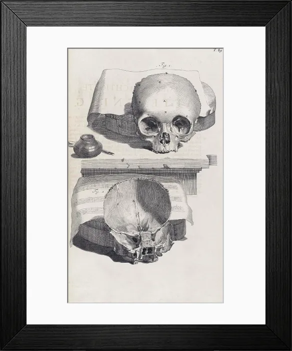 Framed Print : Anatomia humani corporis, Table 89, 1690 Framed Print : Anatomia humani corporis, Table 89, 1690