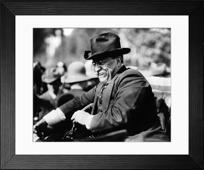 Framed Print : Theodore Roosevelt, 26th U.S. President Framed Print : Theodore Roosevelt, 26th U.S. President