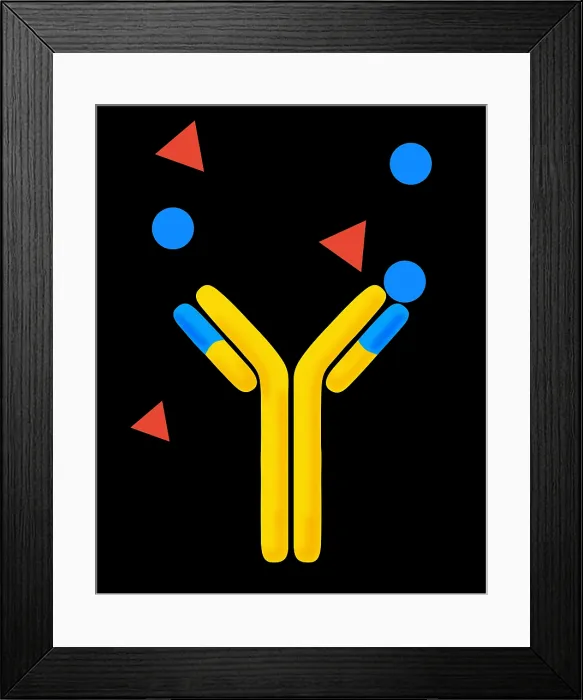 Framed Print : Monoclonal antibodies
