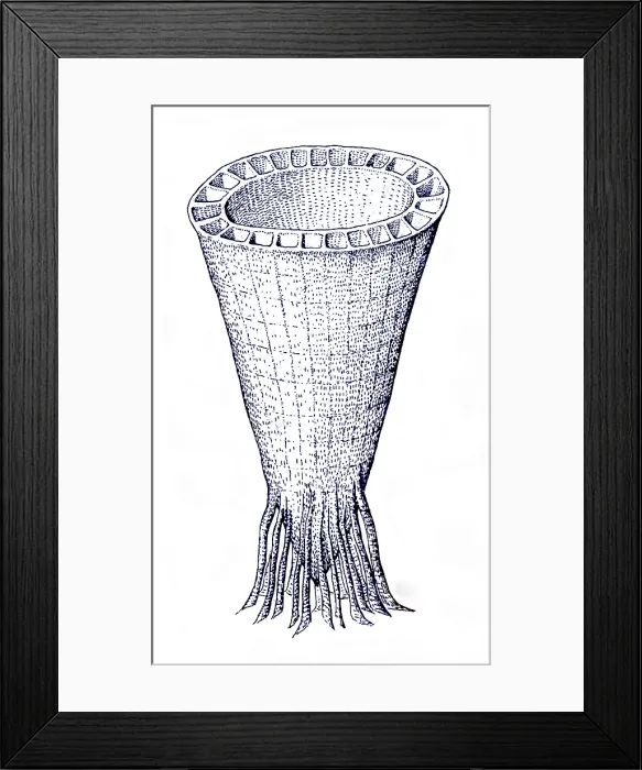 Framed Print : Cambrian Fauna Framed Print : Cambrian Fauna