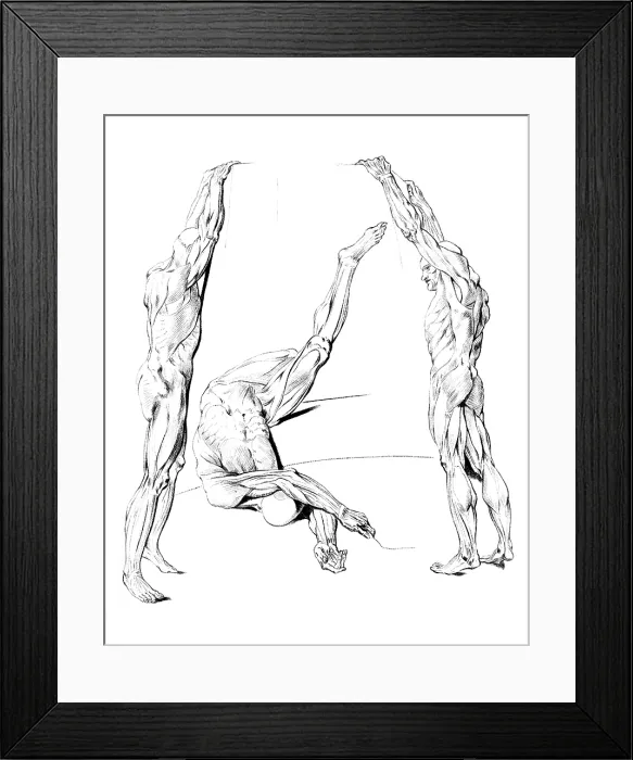 Framed Print : Jacques Gamelin, Nouveau d'osteologie, 1779