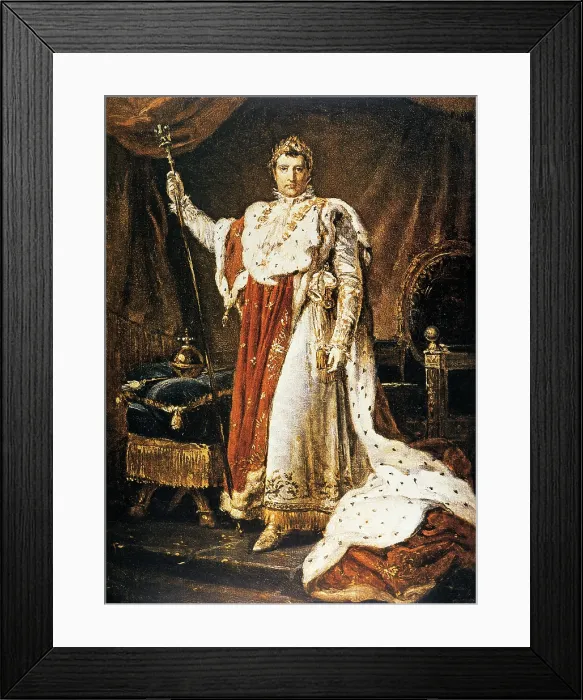 Framed Print : Napoleon, Military Leader and Emperor of France