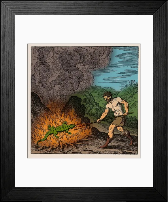 Framed Print : Alchemist Roasting Salamander, 18th Century Framed Print : Alchemist Roasting Salamander, 18th Century