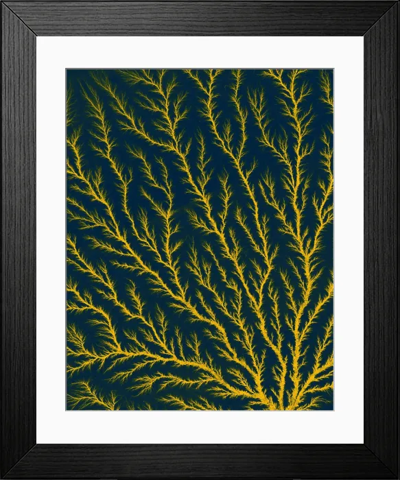 Framed Print : Electron Tree or Lichtenberg Figure Framed Print : Electron Tree or Lichtenberg Figure