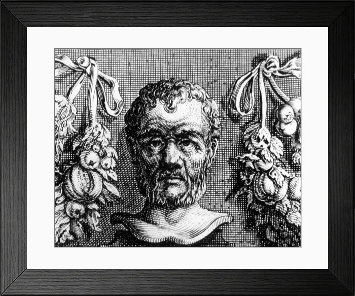 Framed Print : Theophrastus, Ancient Greek Polymath Framed Print : Theophrastus, Ancient Greek Polymath