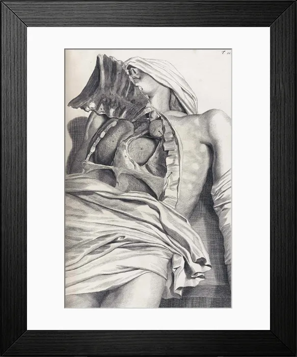 Framed Print : Anatomia humani corporis, Table 21, 1690 Framed Print : Anatomia humani corporis, Table 21, 1690