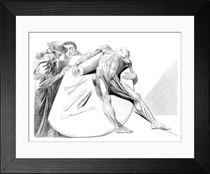 Framed Print : Jacques Gamelin, Nouveau d'osteologie, 1779 Framed Print : Jacques Gamelin, Nouveau d'osteologie, 1779