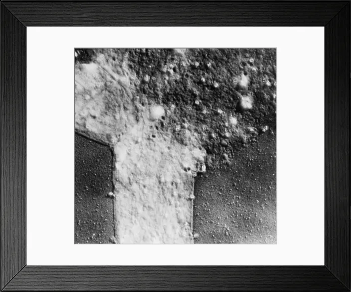 Framed Print : T4 Bacteriophages Infecting Bacteria, TEM
