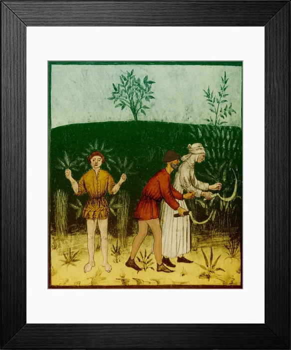 Framed Print : Agriculture in the 1400s