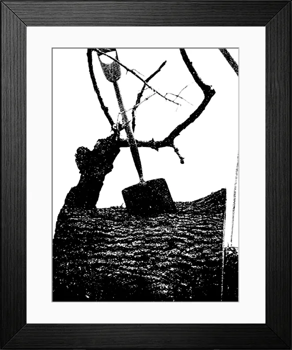 Framed Print : Tornado Damage, 1896