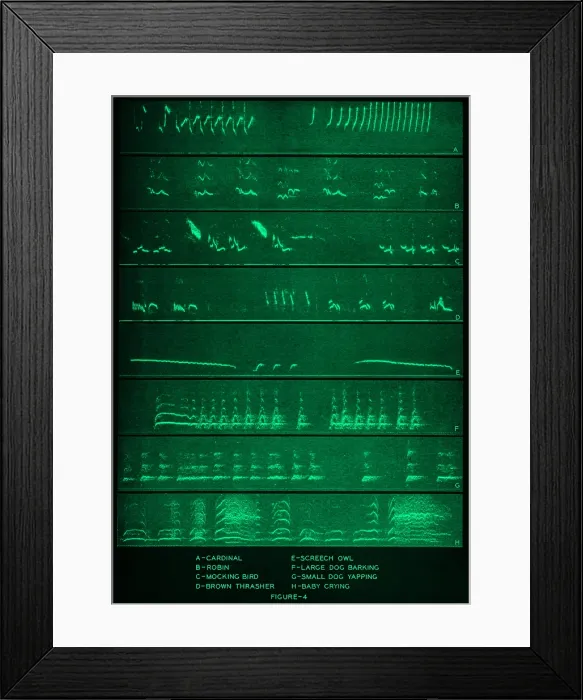 Framed Print : Audio Spectrograms Framed Print : Audio Spectrograms