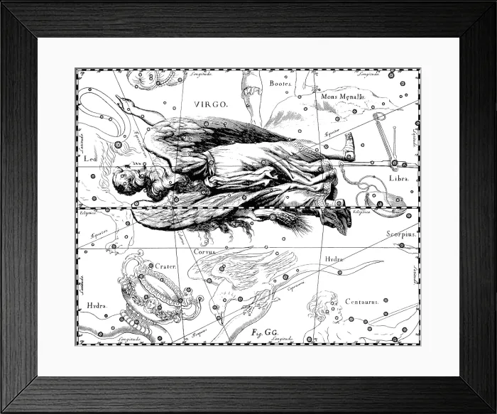 Framed Print : Virgo Constellation, Zodiac Sign, Hevelius, 1687 Framed Print : Virgo Constellation, Zodiac Sign, Hevelius, 1687