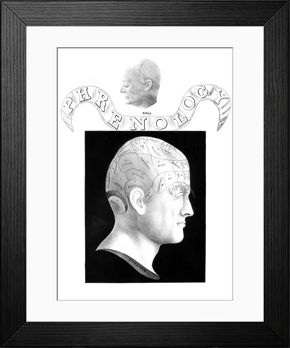 Framed Print : Franz Joseph Gall, German Phrenologist