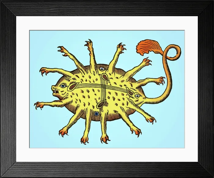 Framed Print : Gessner, Rubus, Fabled Sea Creature Framed Print : Gessner, Rubus, Fabled Sea Creature
