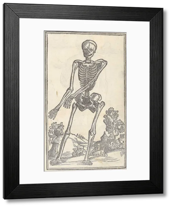 Framed Print : Jacopo Berengario da Carpi, Anatomy Framed Print : Jacopo Berengario da Carpi, Anatomy