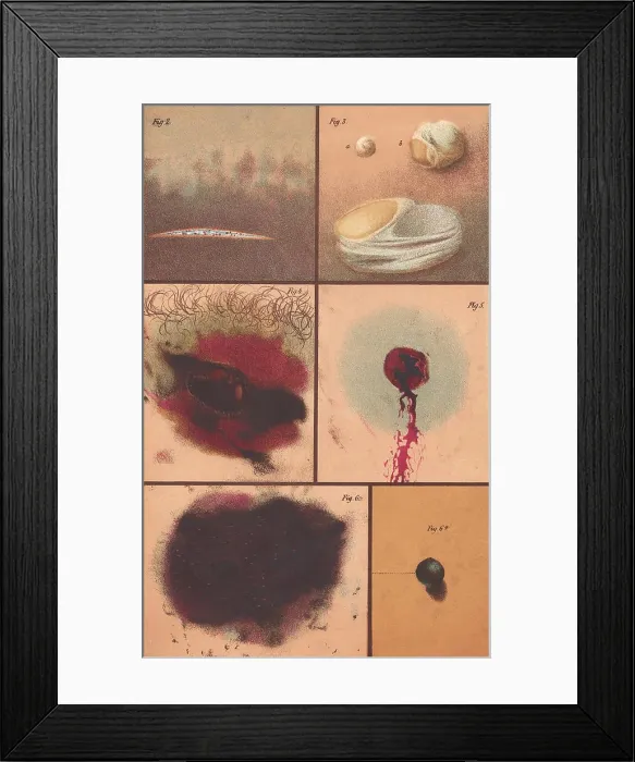 Framed Print : Bloodstain, Blisters, Bullet Holes, 1864 Framed Print : Bloodstain, Blisters, Bullet Holes, 1864