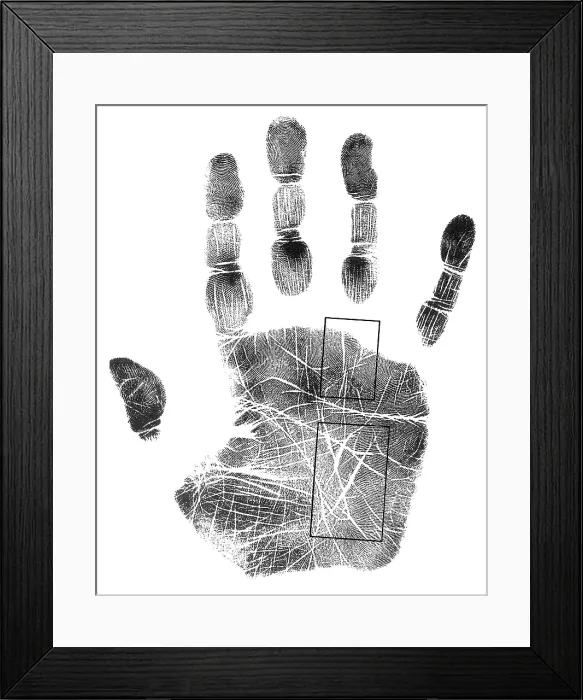 Framed Print : Palmistry, Apollo and Mercury Lines Framed Print : Palmistry, Apollo and Mercury Lines