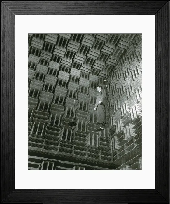 Framed Print : Anechoic Chamber