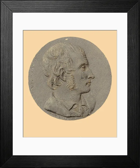 Framed Print : Marie Francois Xavier Bichat, French Histologist Framed Print : Marie Francois Xavier Bichat, French Histologist