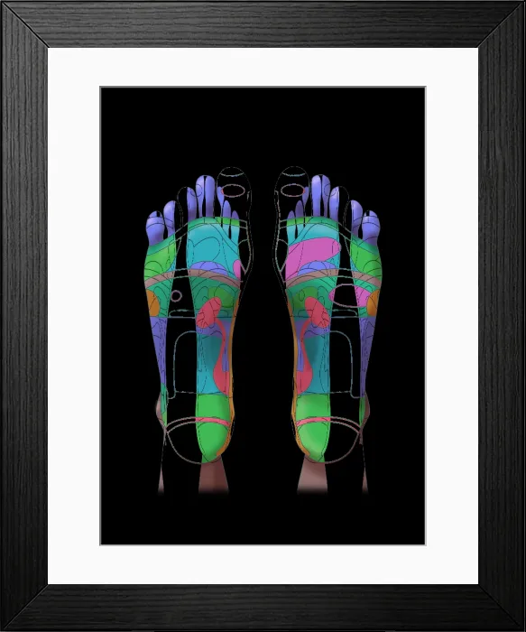 Framed Print : Reflexology, Illustration Framed Print : Reflexology, Illustration