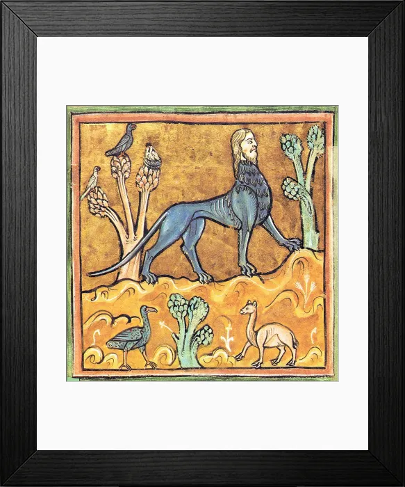 Framed Print : Manticore, Legendary Creature Framed Print : Manticore, Legendary Creature