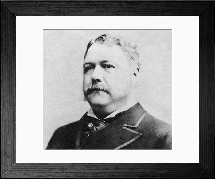 Framed Print : Chester A. Arthur, 21st U.S. President Framed Print : Chester A. Arthur, 21st U.S. President