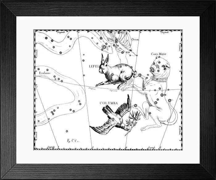 Framed Print : Lepus Constellation, Hevelius, 1687 Framed Print : Lepus Constellation, Hevelius, 1687