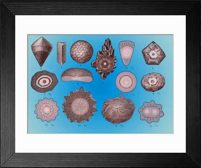 Framed Print : Hailstones Framed Print : Hailstones