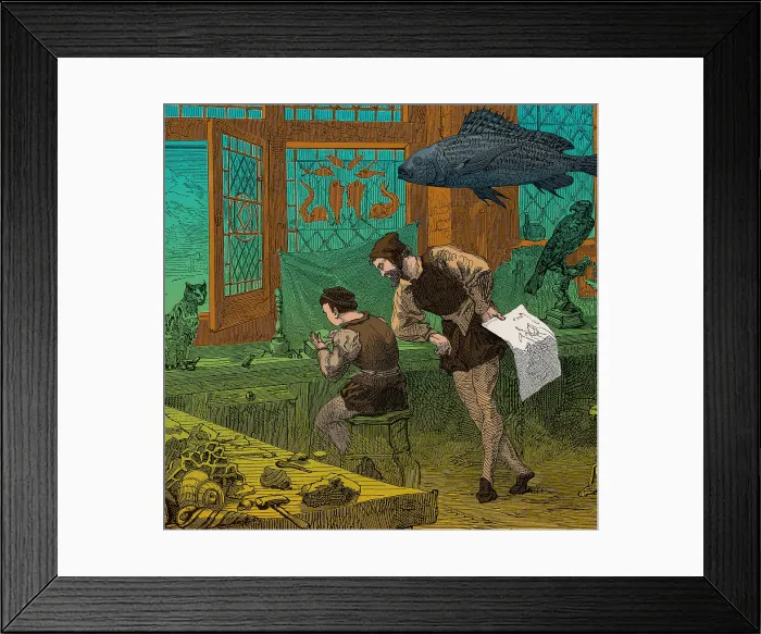 Framed Print : Collection of Conrad Gessner, 16th Century Framed Print : Collection of Conrad Gessner, 16th Century