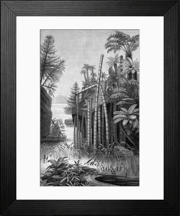 Framed Print : Plants of the Triassic Period Framed Print : Plants of the Triassic Period