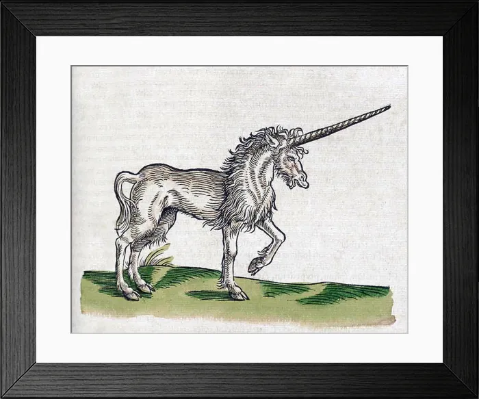 Framed Print : Gessner, Unicorn, Legendary Creature