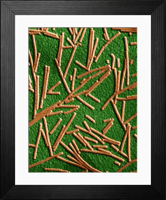 Framed Print : Tobacco mosaic Virus, TEM